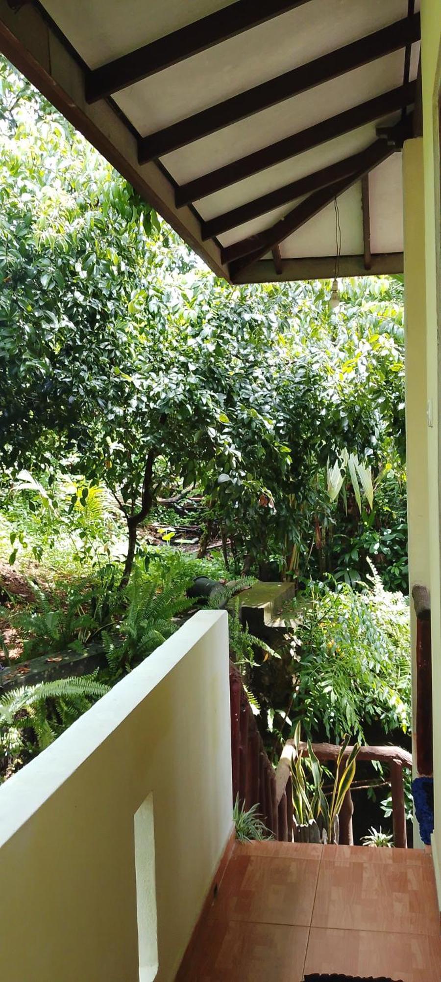 Ranga Villa Hikkaduwa Oda fotoğraf
