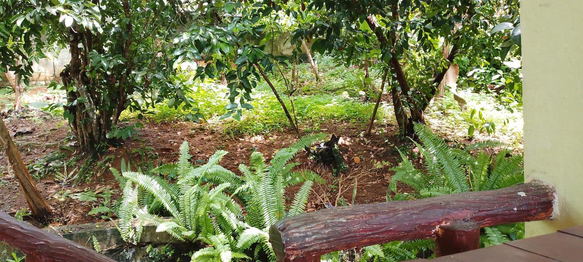 Ranga Villa Hikkaduwa Oda fotoğraf