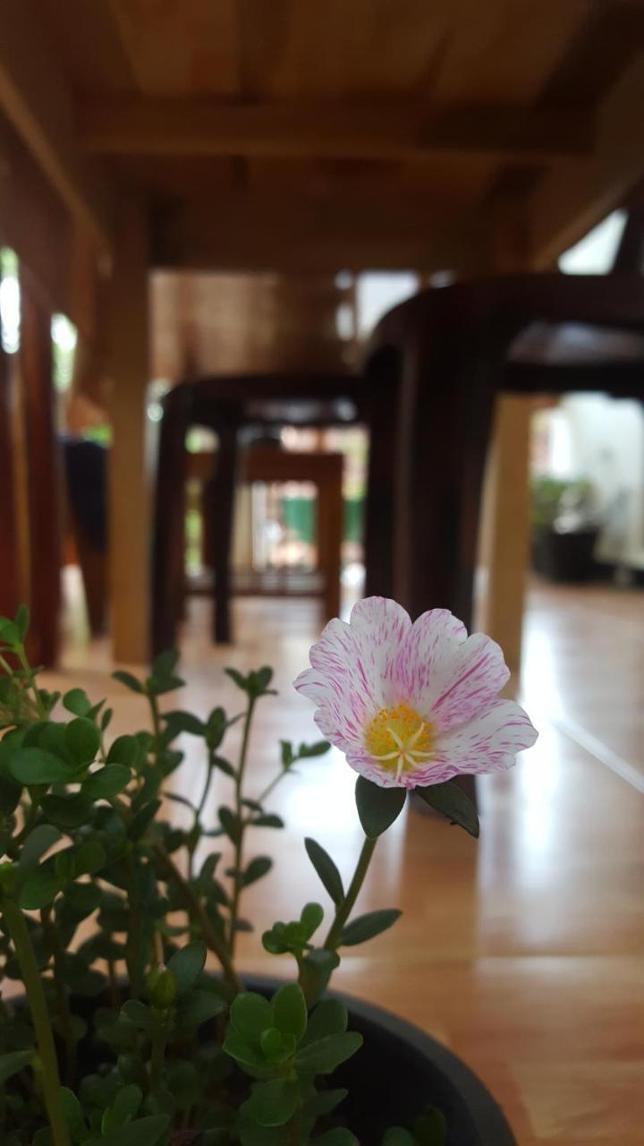 Ranga Villa Hikkaduwa Dış mekan fotoğraf
